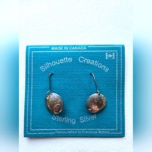 BNWT💫Silver Dangle Earrings